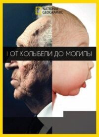 Постер к фильму От колыбели до могилы смотреть онлайн на киного