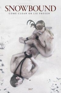Постер к фильму Занесенные снегом смотреть онлайн на киного