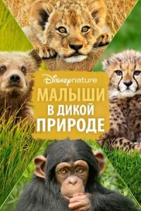 Постер к фильму Малыши в дикой природе смотреть онлайн на киного