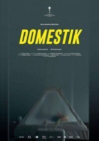 Постер к фильму Домашний режим смотреть онлайн на киного