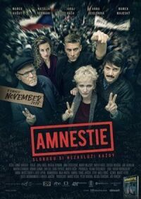 Постер к фильму Амнистия смотреть онлайн на киного