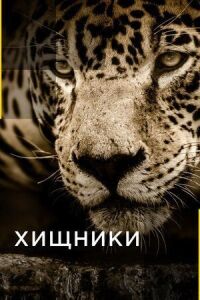 Постер к фильму Хищники смотреть онлайн на киного