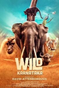 Постер к фильму Дикая Карнатака смотреть онлайн на киного