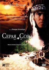 Постер к фильму Серая сова смотреть онлайн на киного