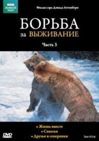 Постер к фильму BBC: Борьба за выживание смотреть онлайн на киного