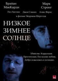 Постер к фильму Низкое зимнее солнце смотреть онлайн на киного