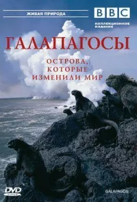 Постер к фильму BBC: Галапагосы смотреть онлайн на киного
