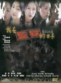 Постер к фильму Чёрная кошка 3: В тюрьме смотреть онлайн на киного