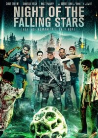 Постер к фильму Night of the Falling Stars смотреть онлайн на киного