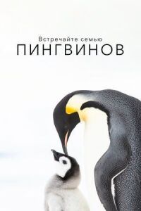 Постер к фильму Встречайте семью пингвинов смотреть онлайн на киного