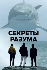 Постер к фильму Тайны мозга смотреть онлайн на киного