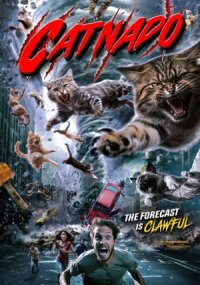 Постер к фильму Кошачий торнадо смотреть онлайн на киного