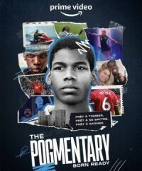 Постер к фильму The Pogmentary смотреть онлайн на киного