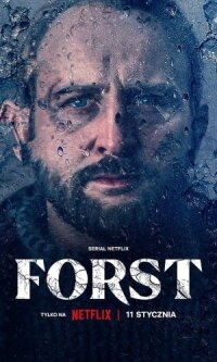 Постер к фильму Детектив Форст смотреть онлайн на киного