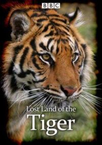 Постер к фильму Lost Land of the Tiger смотреть онлайн на киного