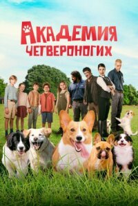 Постер к фильму Академия четвероногих смотреть онлайн на киного