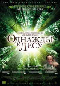 Постер к фильму Однажды в лесу смотреть онлайн на киного