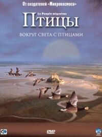 Постер к фильму Птицы смотреть онлайн на киного