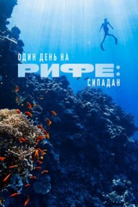 Постер к фильму Один день на рифе: Сипадан смотреть онлайн на киного