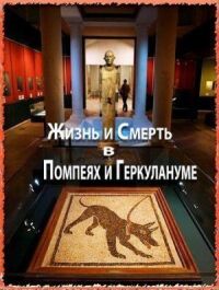 Постер к фильму Жизнь и смерть в Помпеях и Геркулануме смотреть онлайн на киного