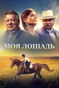 Постер к фильму Моя лошадь смотреть онлайн на киного