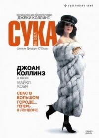 Постер к фильму Сука смотреть онлайн на киного