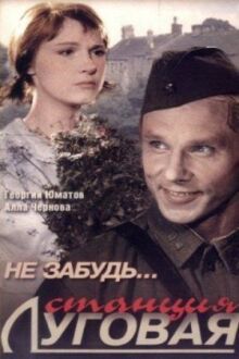 Не забудь... станция Луговая онлайн бесплатно