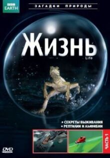 BBC: Жизнь онлайн бесплатно