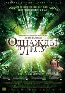 Однажды в лесу онлайн бесплатно