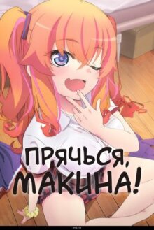 Прячься, Макина! онлайн бесплатно